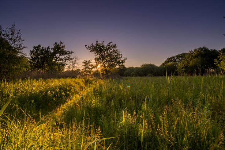 What Is A Nature Reserve? | Yorkshire Wildlife Trust